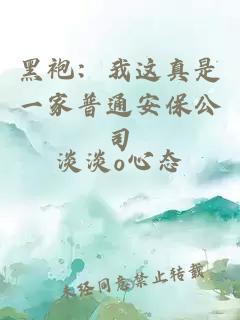 黑袍：我这真是一家普通安保公司